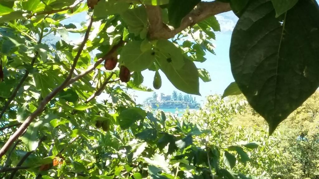 马罗内Il Pozzo公寓 外观 照片